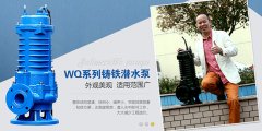 如何選擇優(yōu)質(zhì)的潛水泵產(chǎn)品享受